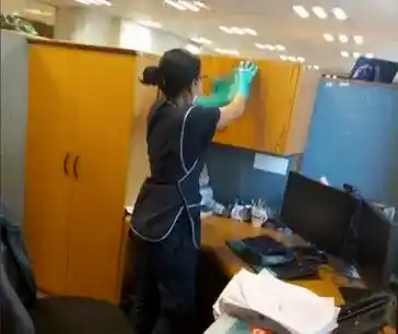 Limpieza de Muebles Oficina